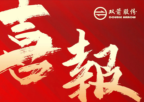 雙箭股份上榜2025浙商全國500強企業